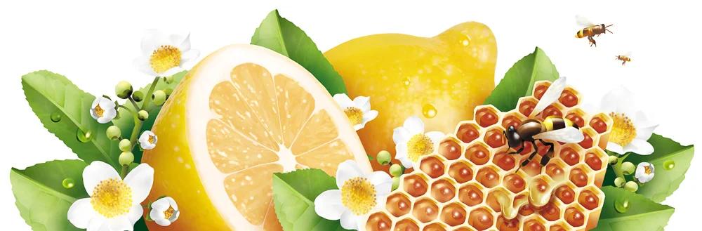 03_Lemon Honey Tea Art.jpg