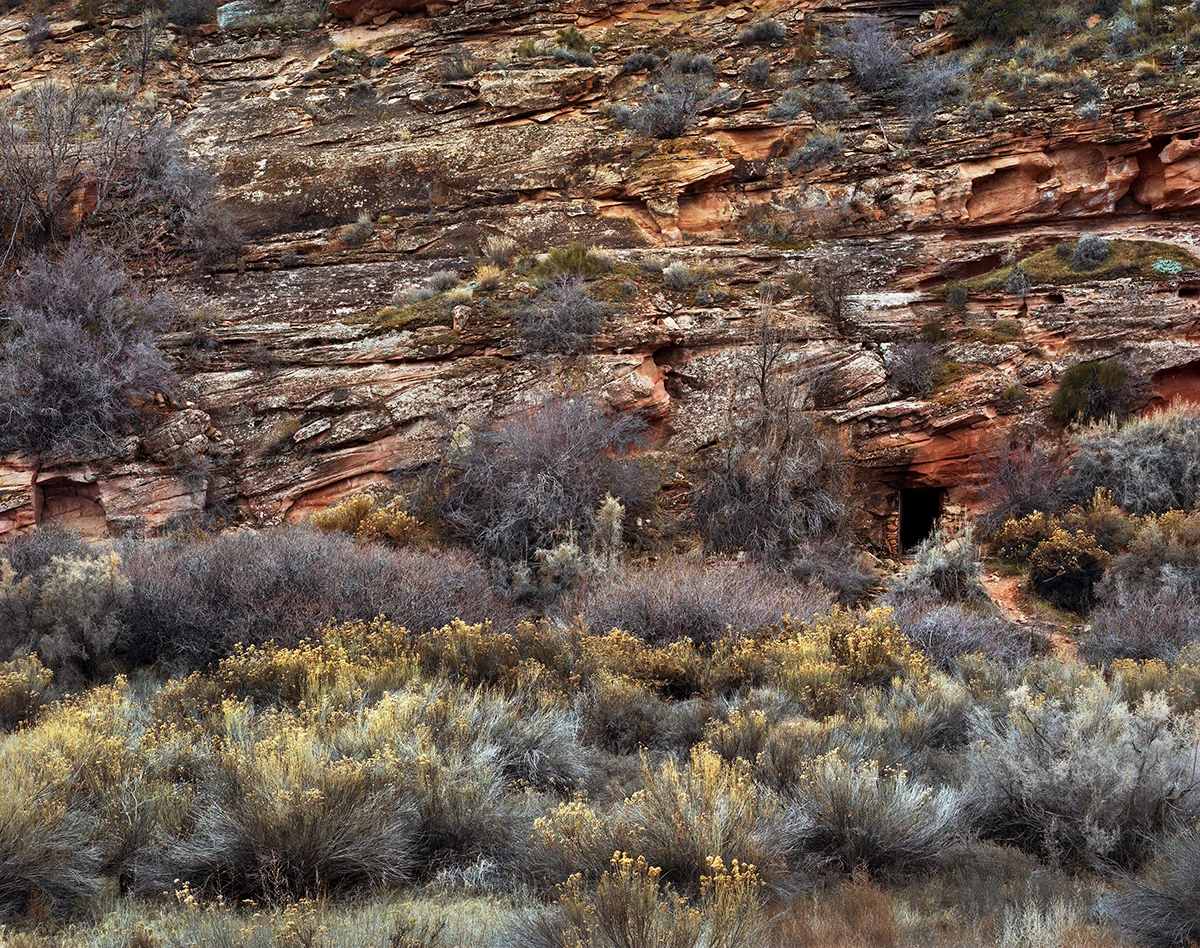 Cellar, Kings Crossing on the Colorado River, Dewey, Utah, 2011