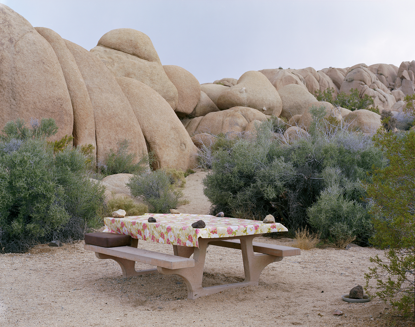  Cottonwood Campground, Joshua Tree National Park, California, 2015 