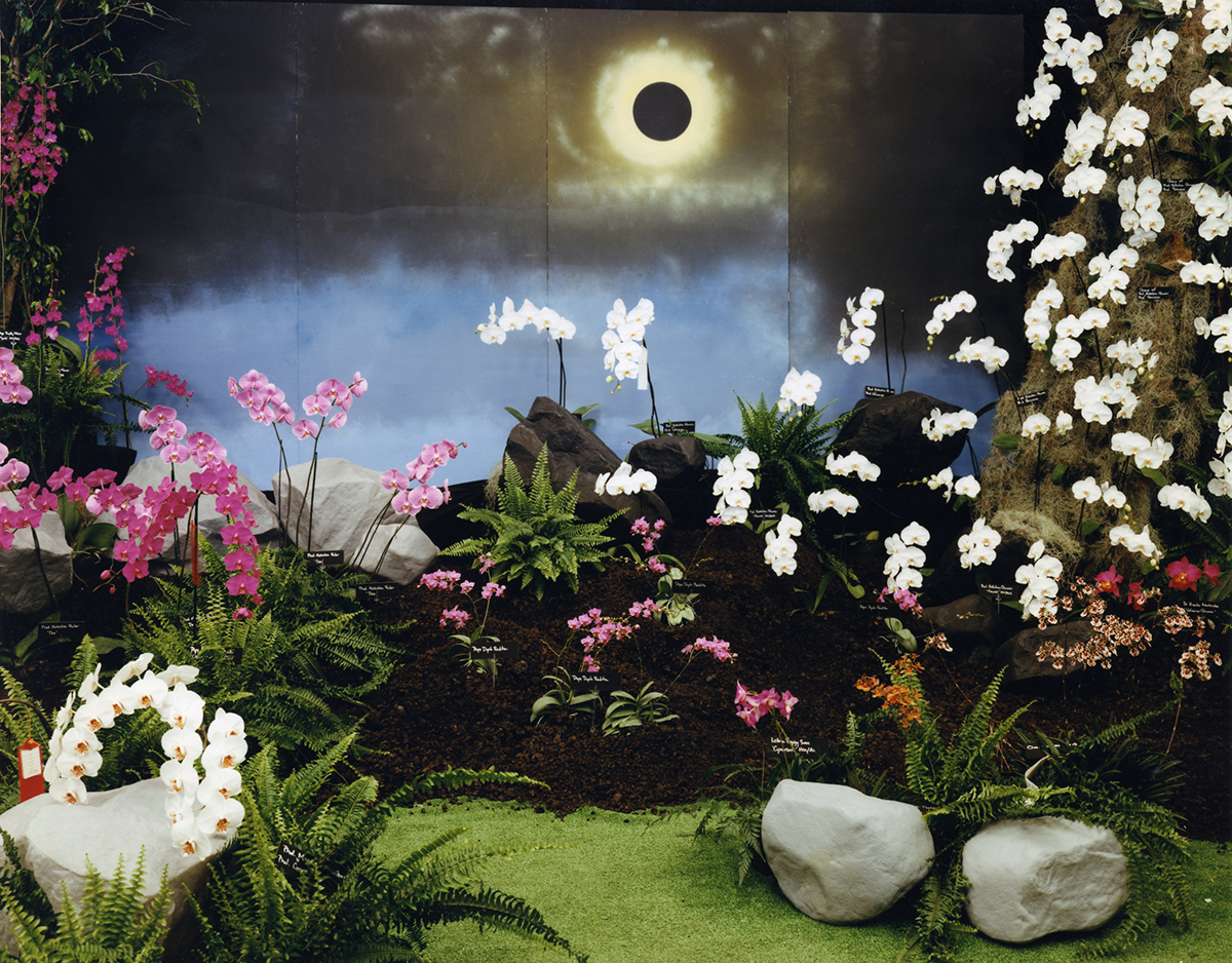  Depiction of total eclipse for “Galaxy of Orchids,” the annual 4th of July show of the Hilo Orchid Society, Hilo, Hawai’i, 1991 