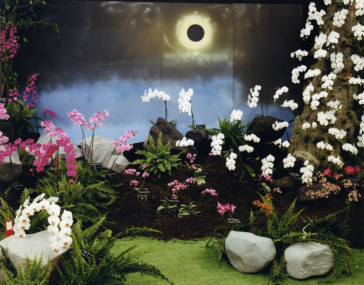 Depiction of total eclipse for “Galaxy of Orchids,” the annual 4th of July show of the Hilo Orchid Society, Hilo, Hawai’i, 1991