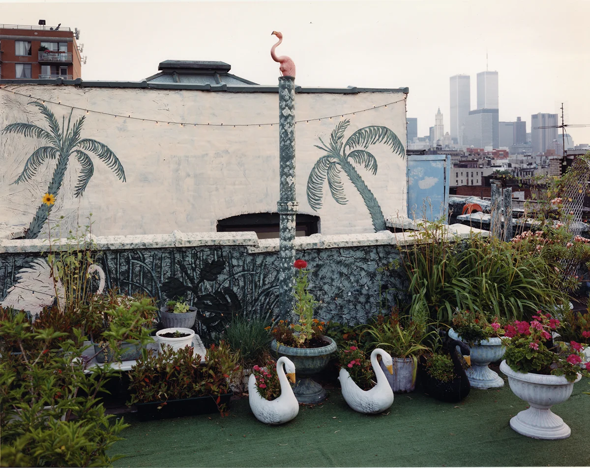 Rooftop garden, East Village, New York, 1997
