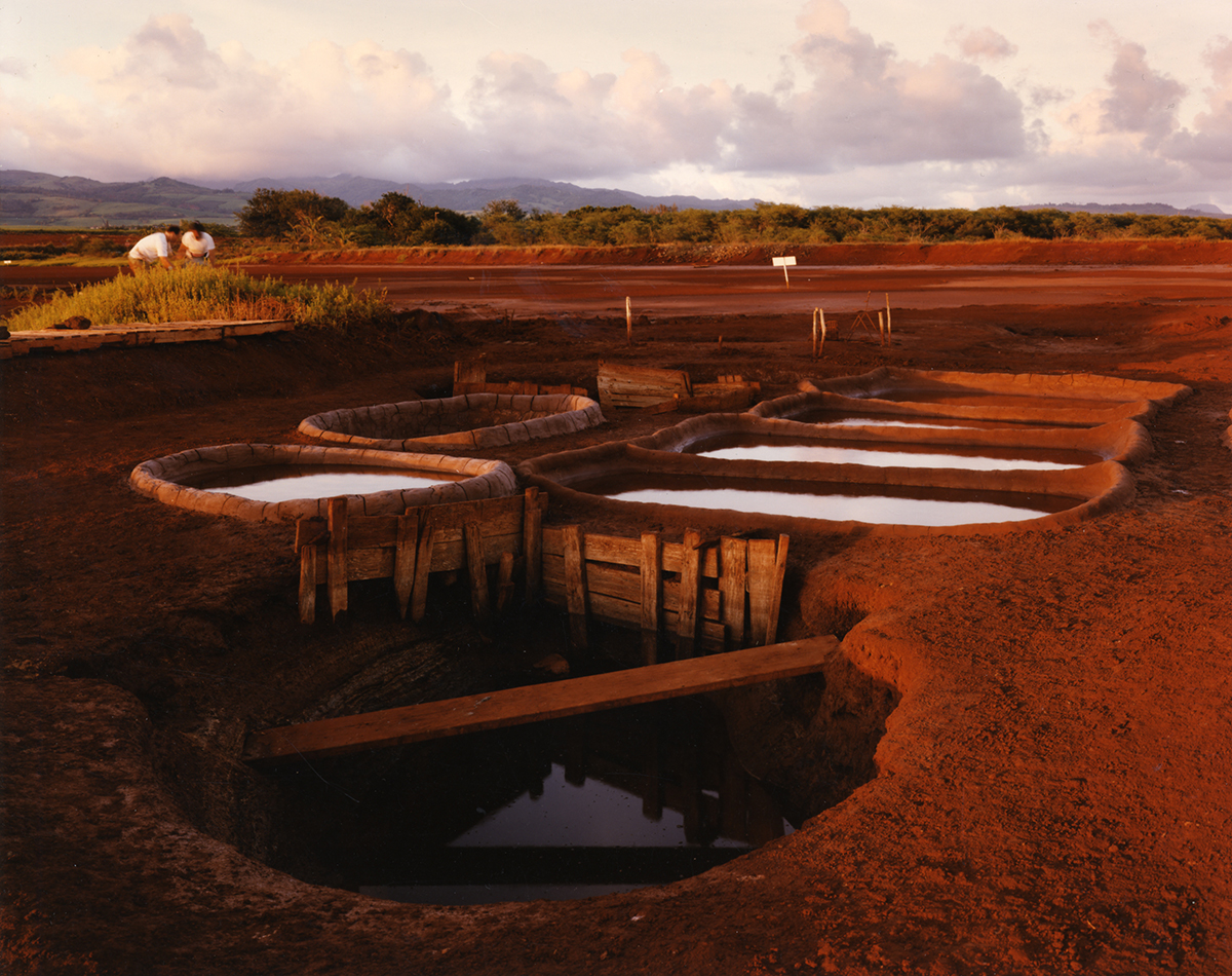  Seawater evaporating to make salt, an ancient Hawaiian tradition, Hanapepe, Kaua’i, 1991 