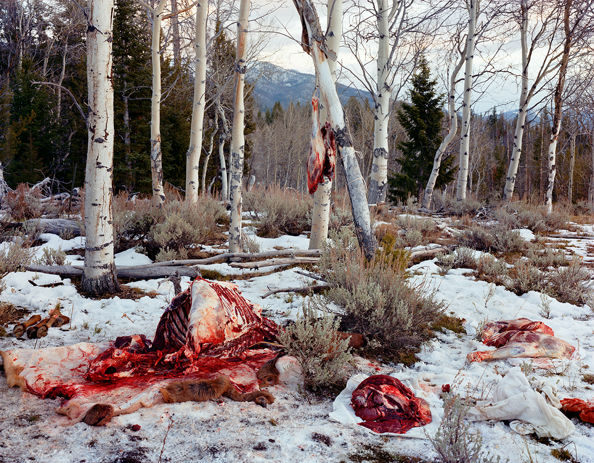 McPhee-Quartered_Elk_print.jpg