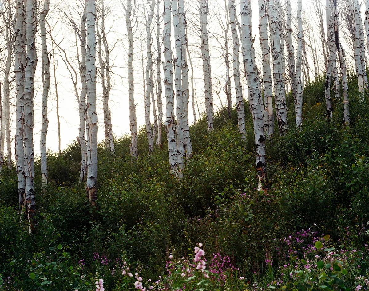 Idaho_94171_print.jpg