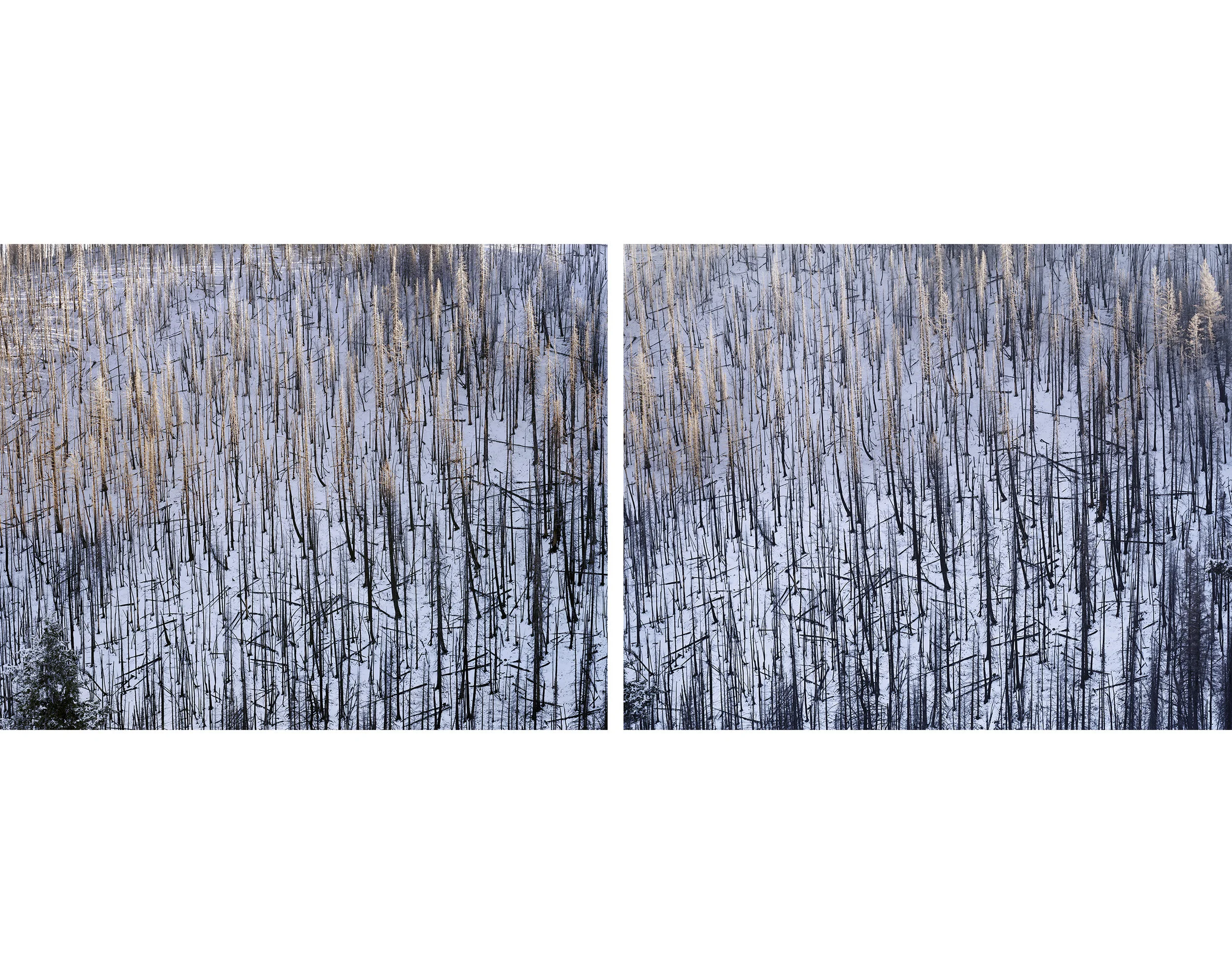 Dollarhide+Mountain+Above+Warm+Springs+Creek,+Blaine+County,+Idaho,+2014.jpg