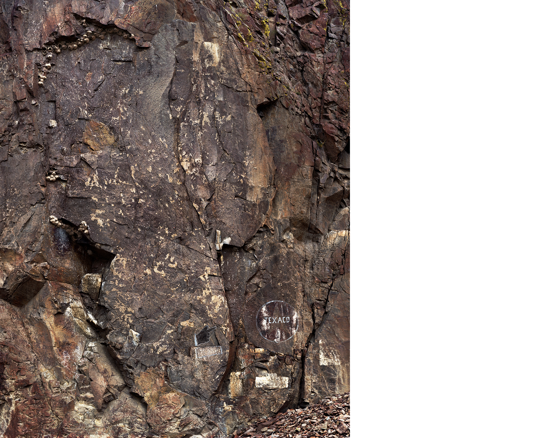 Cliff+Swallows’+Nests+and+Texaco+Sign,+Challis,+Idaho,+2017 copy.jpg