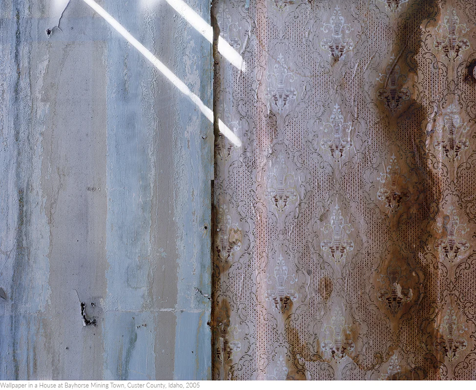 Wallpaper+in+a+House+at+Bayhorse+Mining+Town,+Custer+County,+Idaho,+2005titledsamesize.jpg