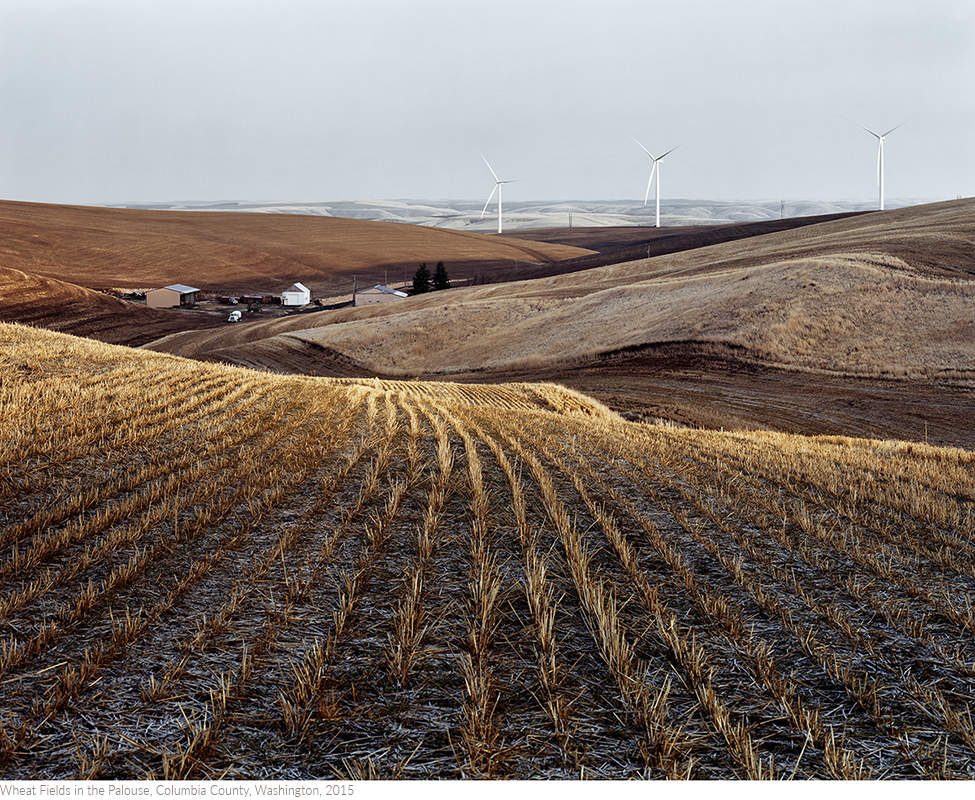 Wheat+Fields+in+the+Palouse,+Columbia+County,+Washington,+2015titledsamesize.jpg