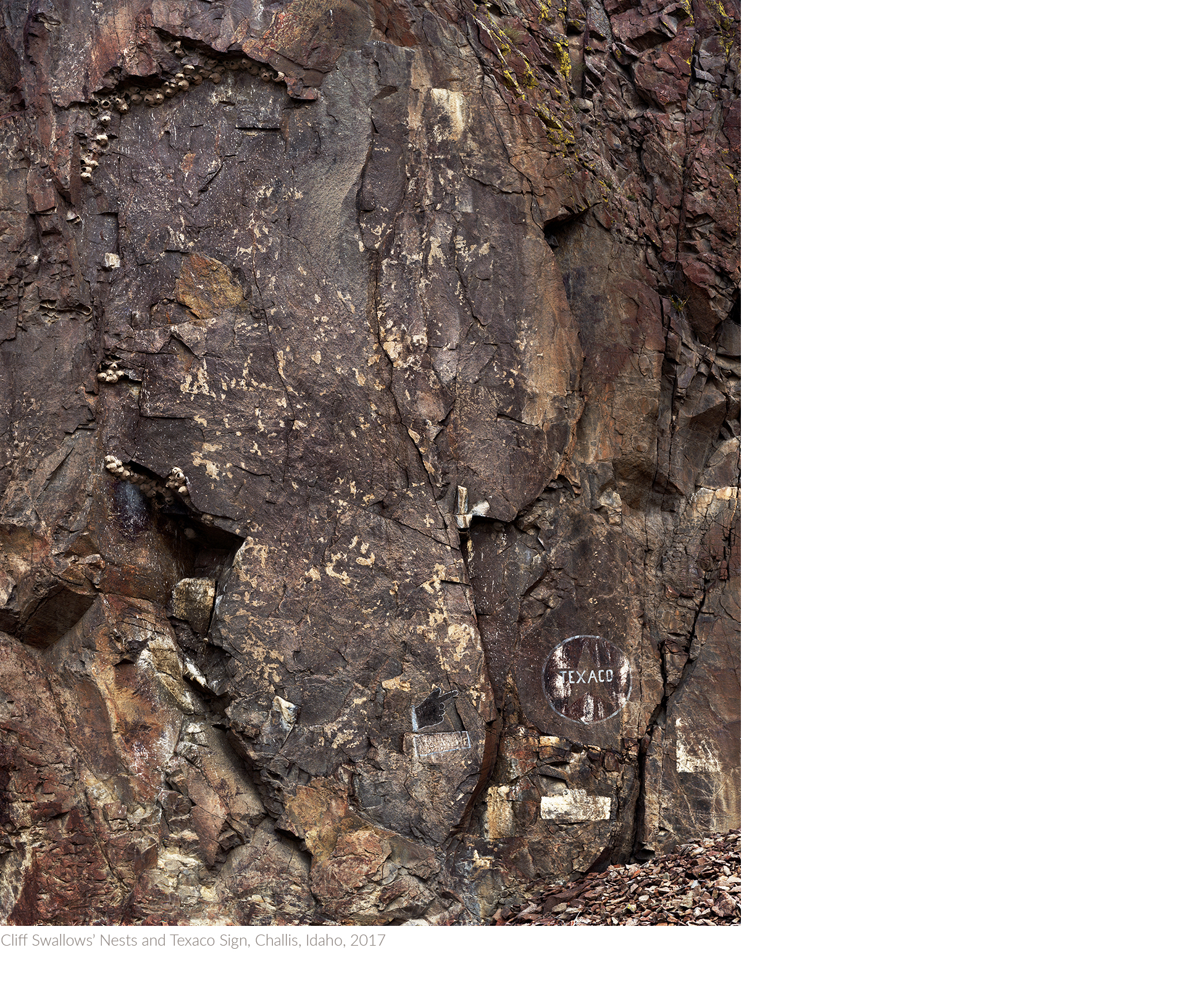 Cliff+Swallows’+Nests+and+Texaco+Sign,+Challis,+Idaho,+2017+copytitledsamesize.jpg