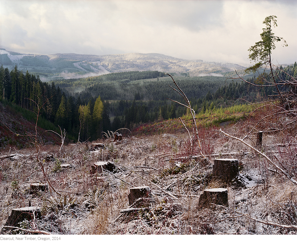 Clearcut,+Near+Timber,+Oregon,+2014titledsamesize.jpg