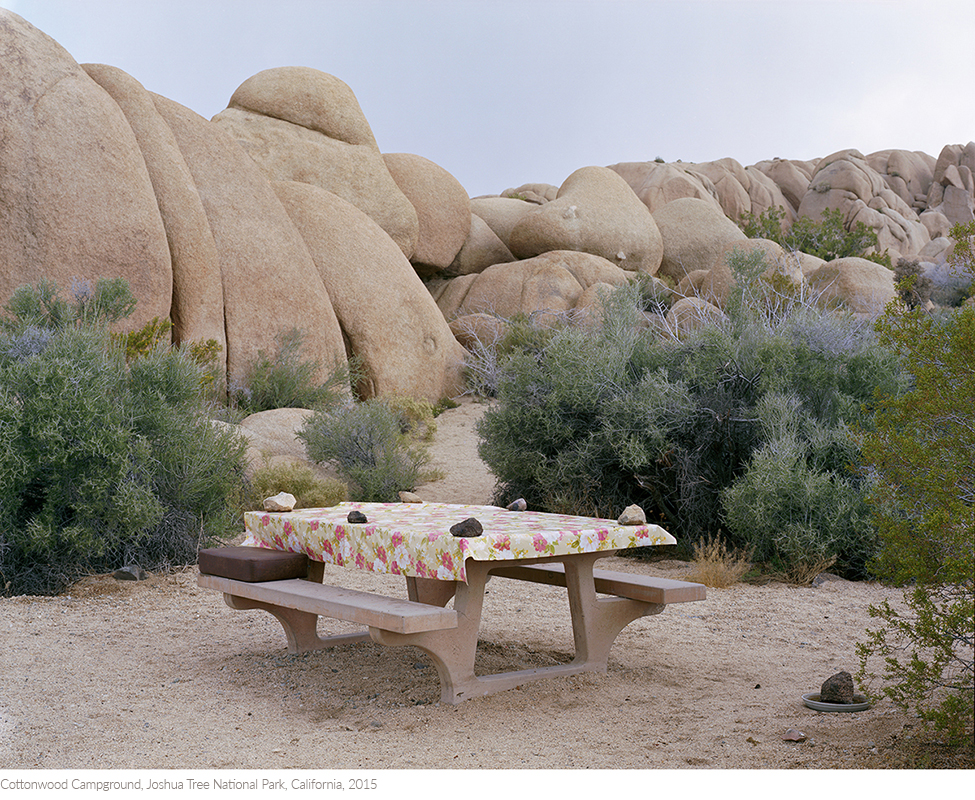 Cottonwood+Campground,+Joshua+Tree+National+Park,+California,+2015titledsamesize.jpg