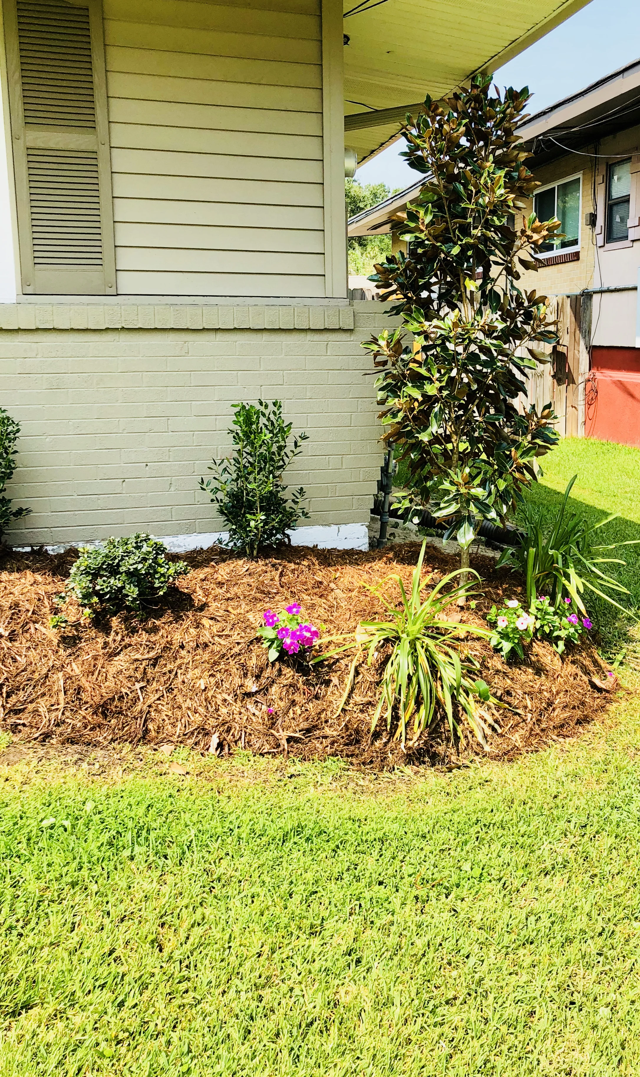 Colorful flowers and Gem  Magnolia make this garden turn heads in Metairie.