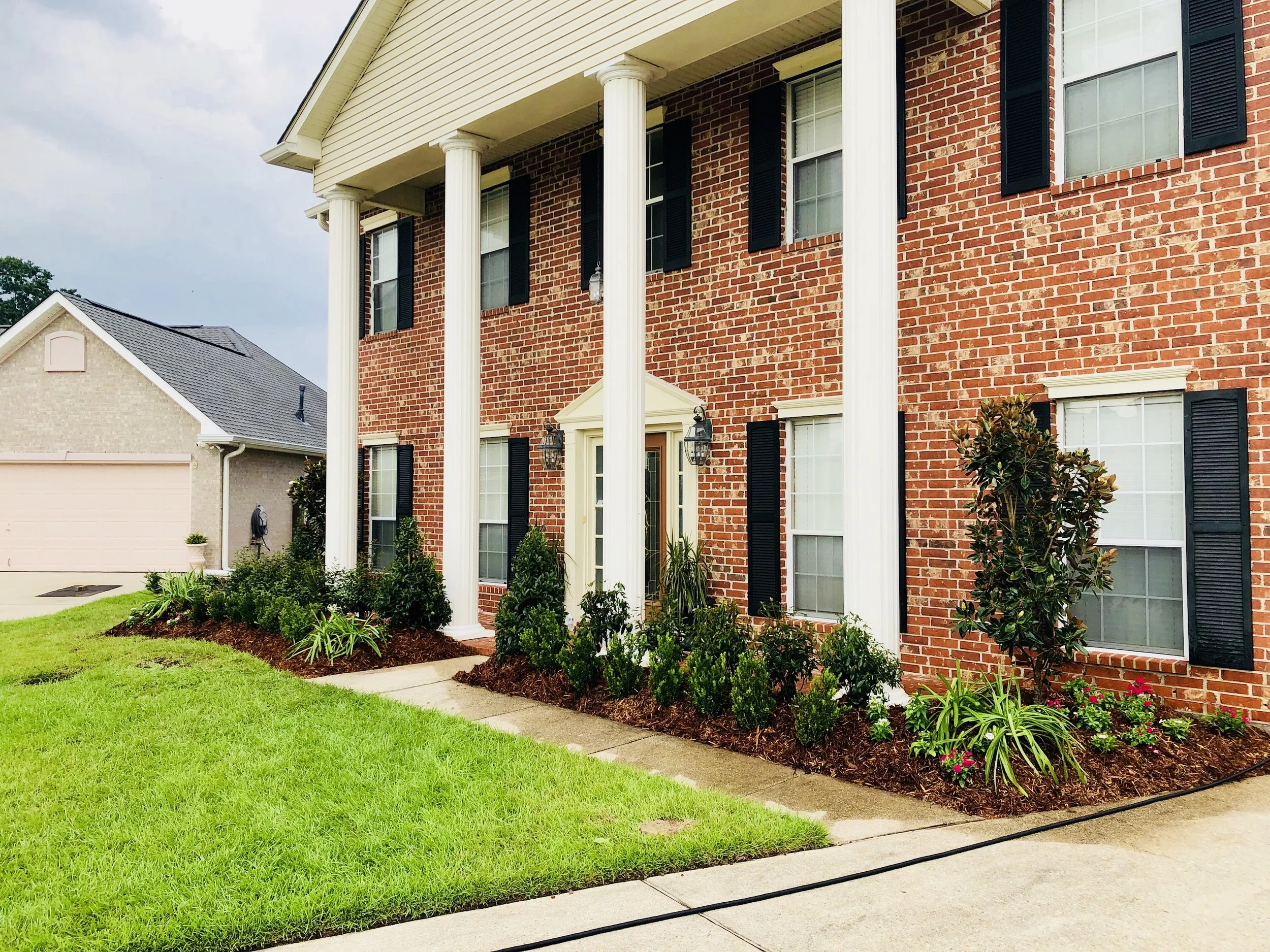 Grand and Gorgeous! Gem Magnolias make this Marrero garden GLOW!