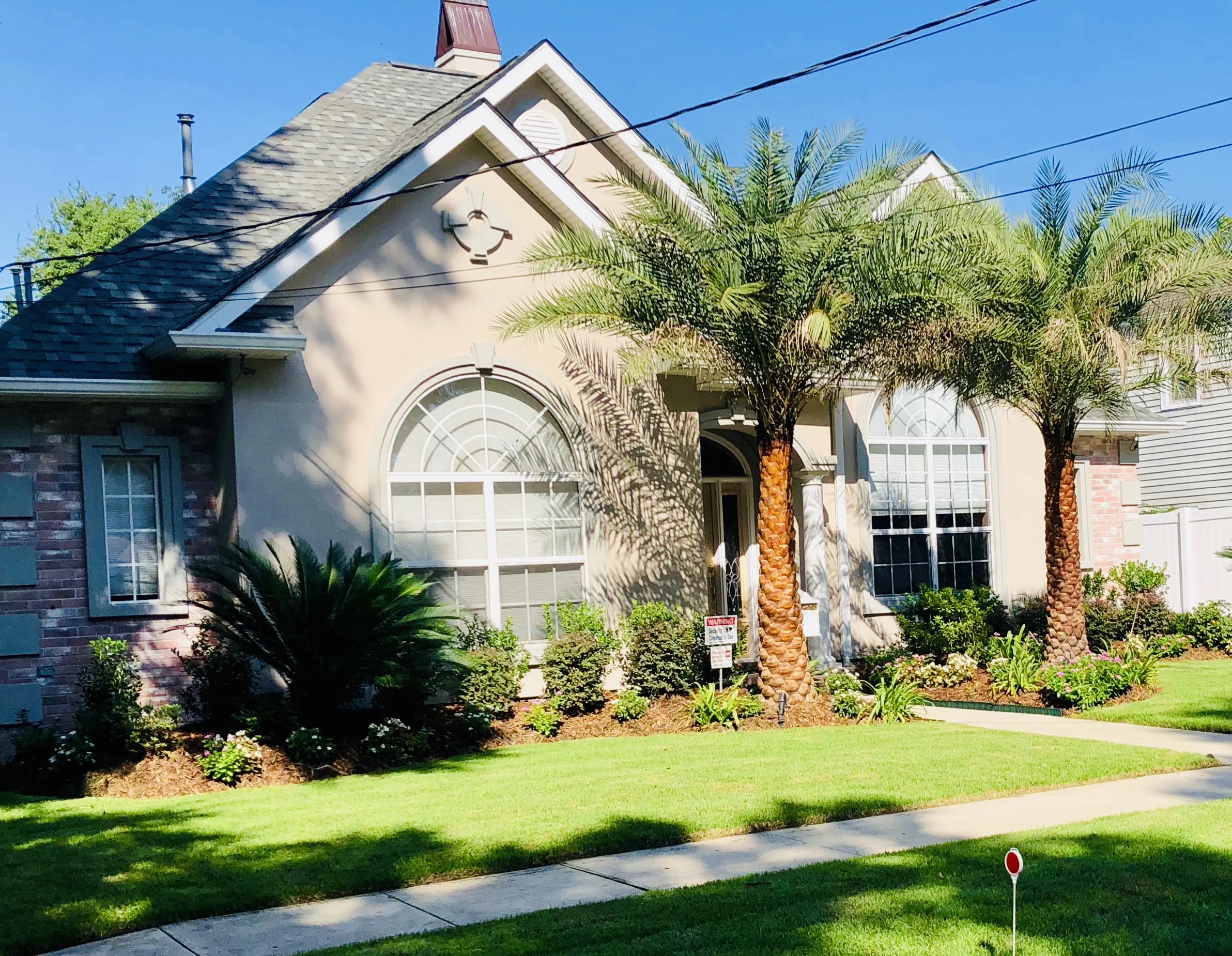 Beautiful Landscaping with Majestic Sylvester Palms in Metairie.