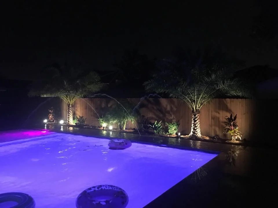 Poolside Palms transform this Metairie backyard into Paradise!