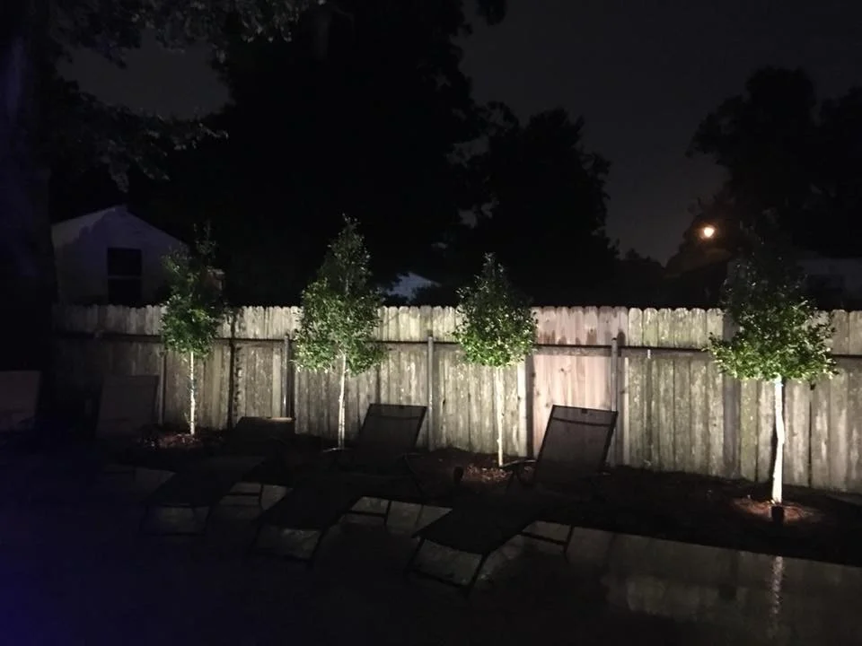 Nighttime is the right time for illuminated Eagleston Hollies!
