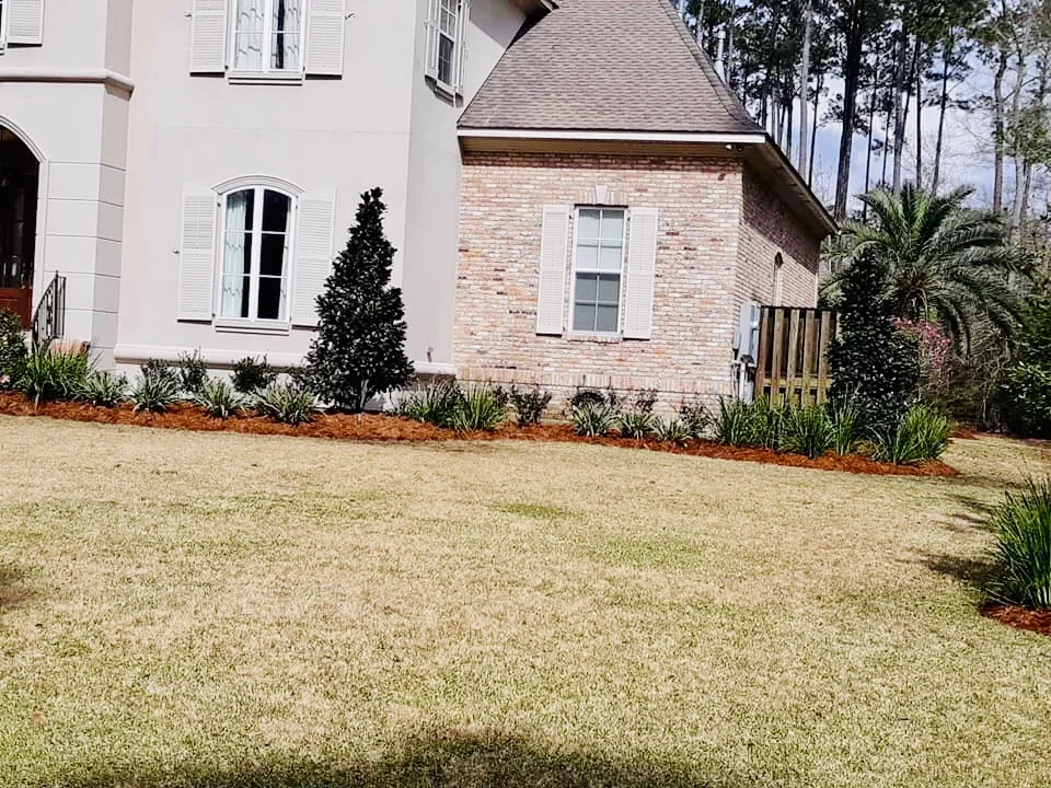 Teddy bear magnolia trees accentuate this beautiful residence in the Sanctuary Subdivision -Mandeville, LA.