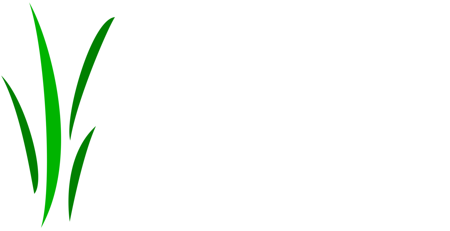 Hythe Tree Care