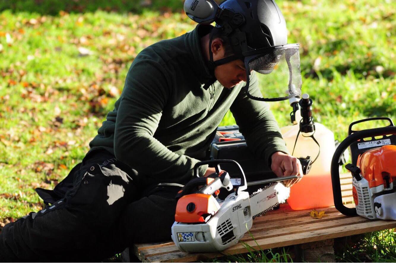 Tree care 4.jpg