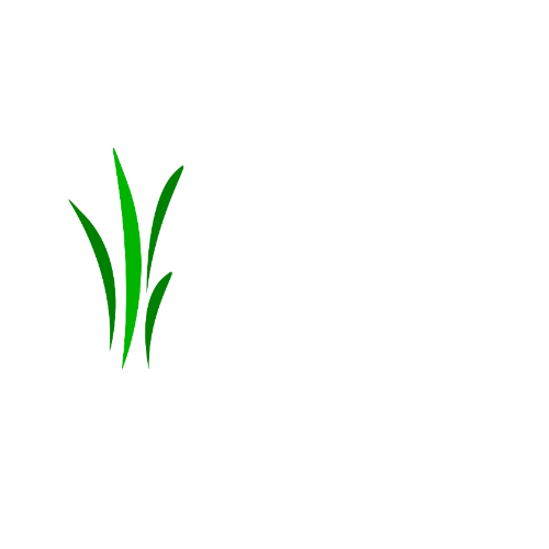Hythe Tree Care