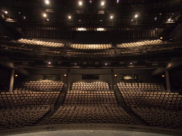 Aria Concert with Chicago Philharmonic