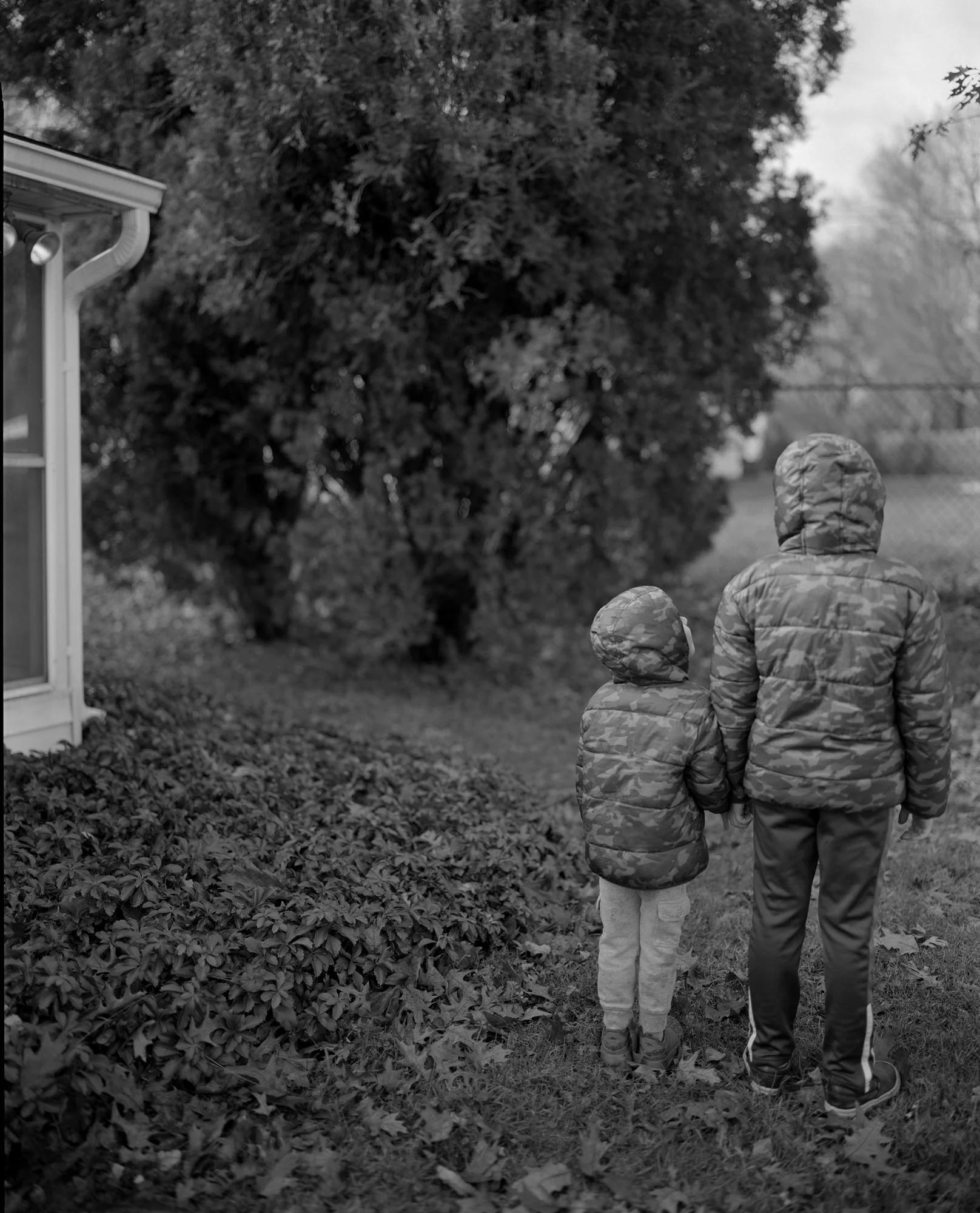 working-assumptions-amanda-tinker-untitled-1-2018-1616-2000-original.jpg