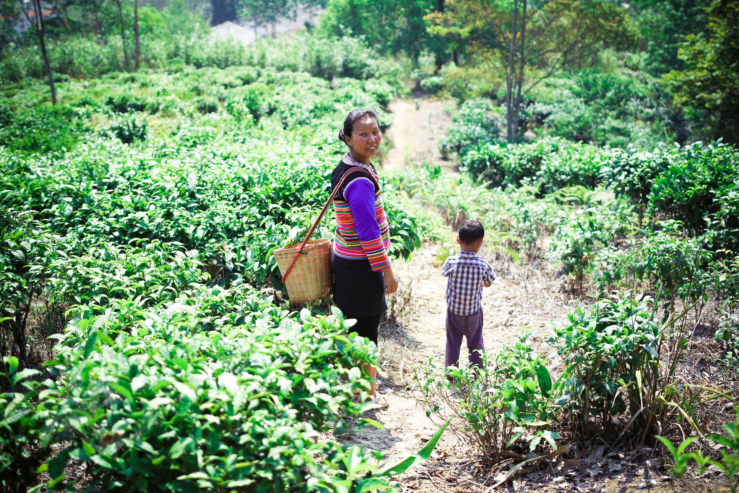 working-assumptions-jin-zhao-mother-and-son-2016-2500-1667-original.jpg