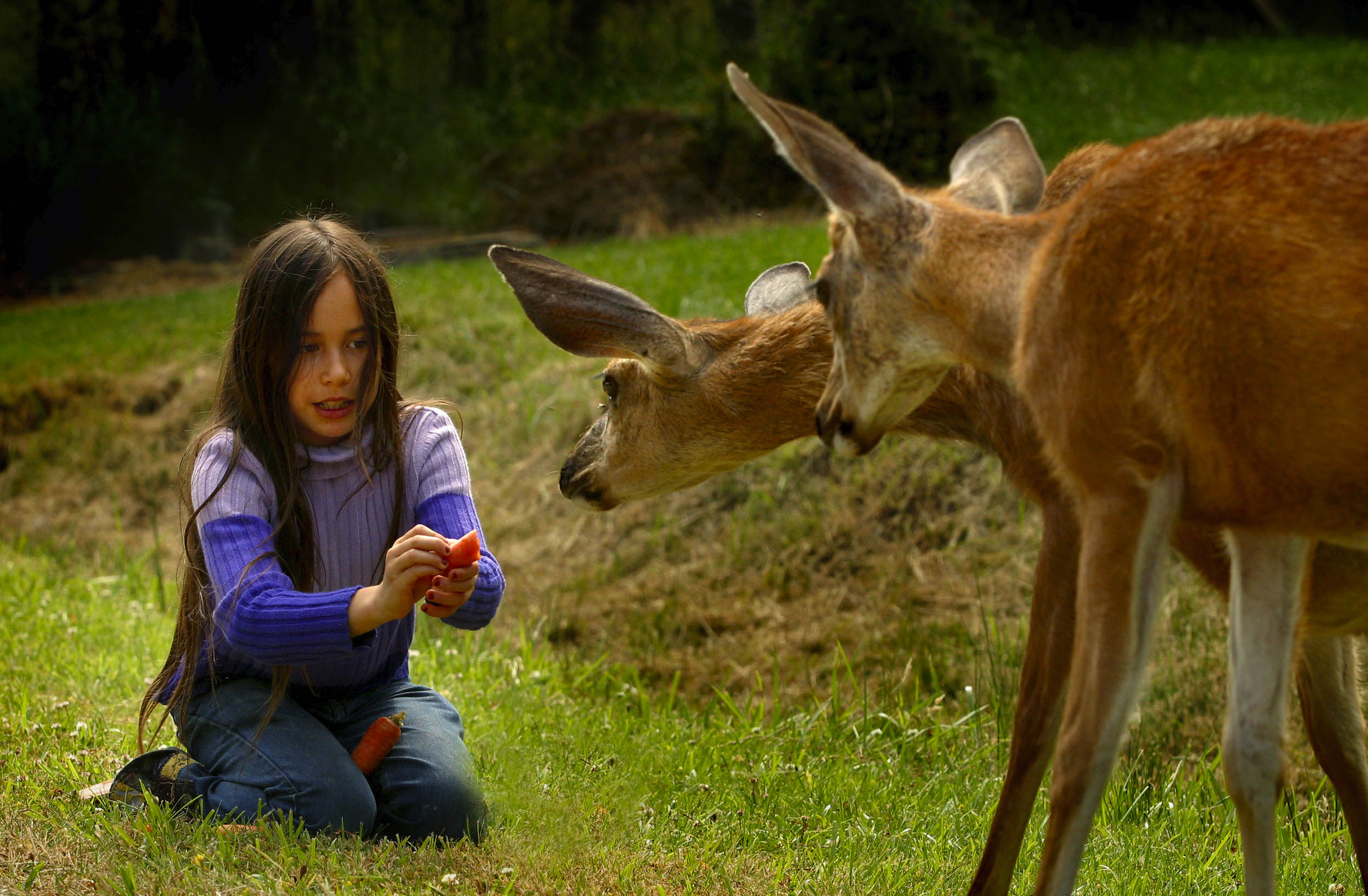 working_assumptions_ellen_banner_precious_innocence_2004_2160_1638_original.jpg