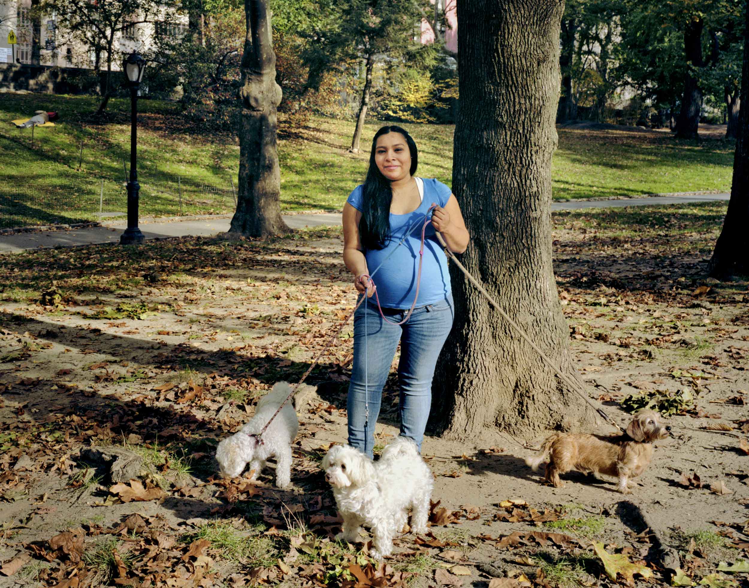 showing-pregnancy-dogwalker-brian-rose.jpg