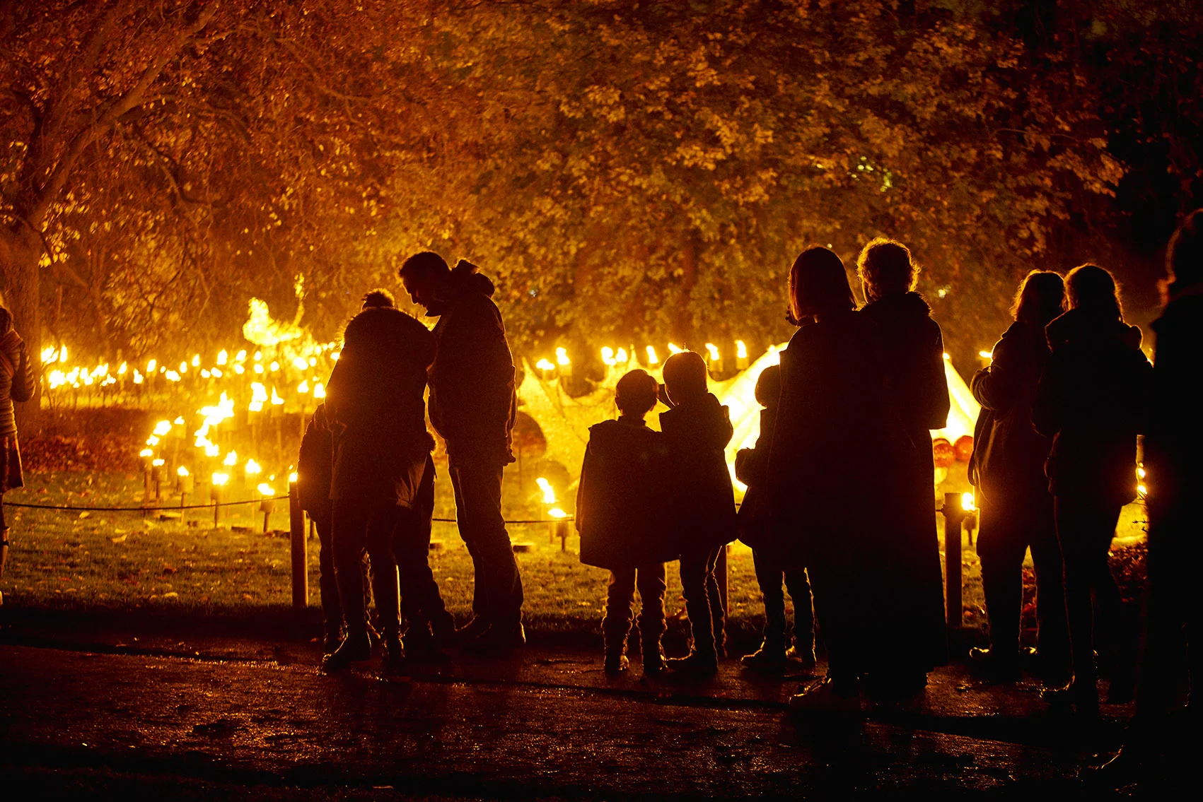 Fire Garden Illumination at Christmas at Belton.jpg