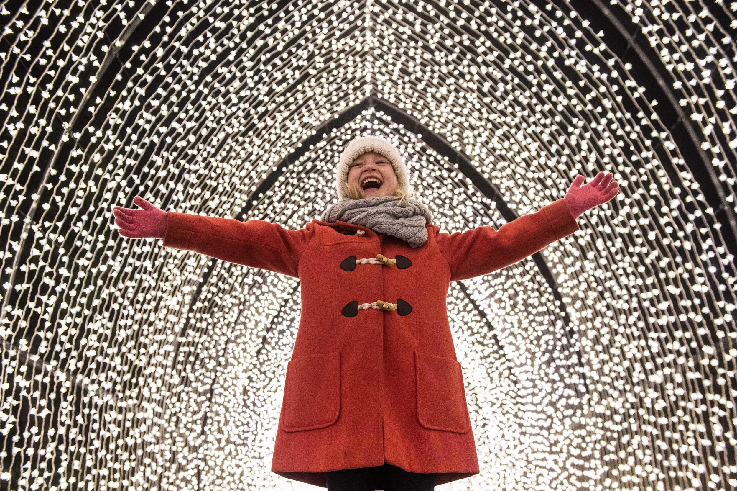 Christmas at Belton 2019 Cathedral of Light.jpg