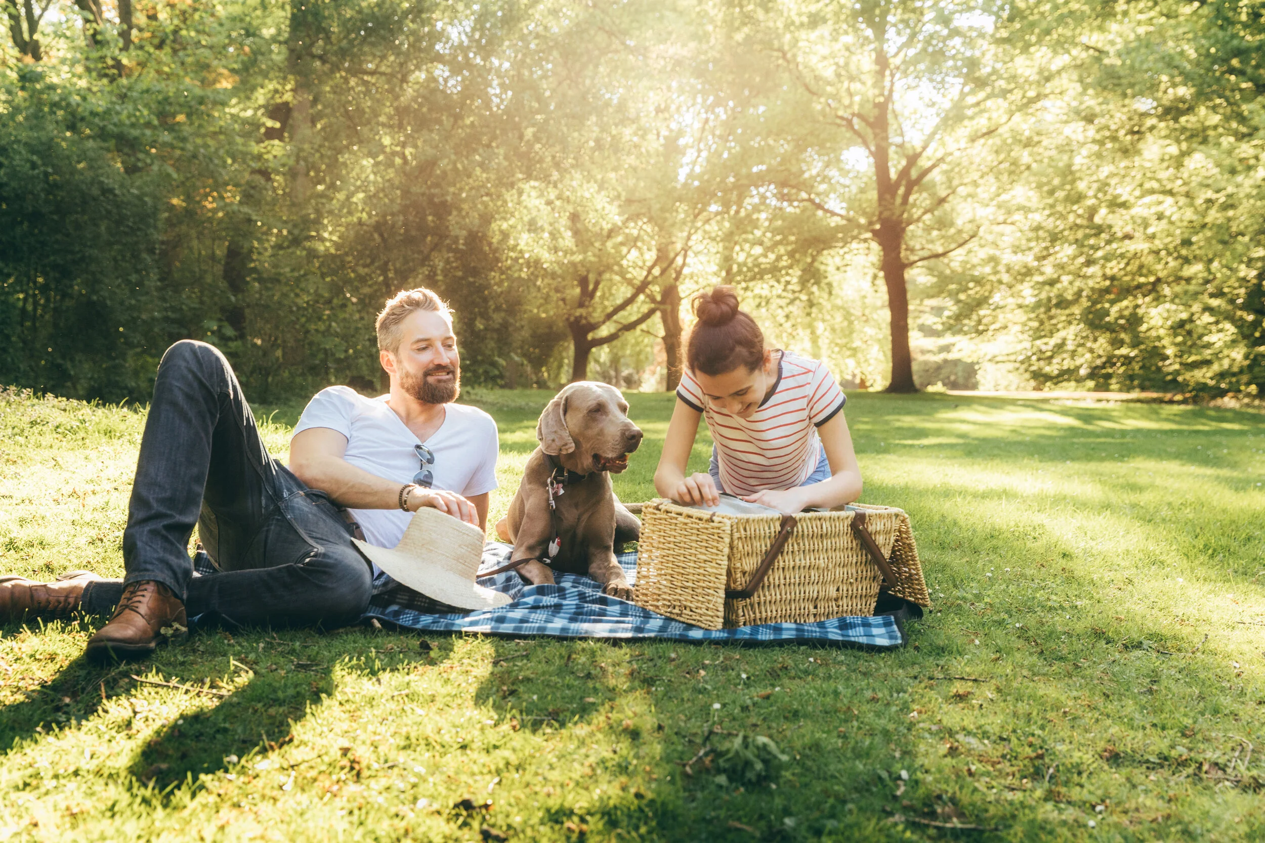 iStock-859775032.jpg