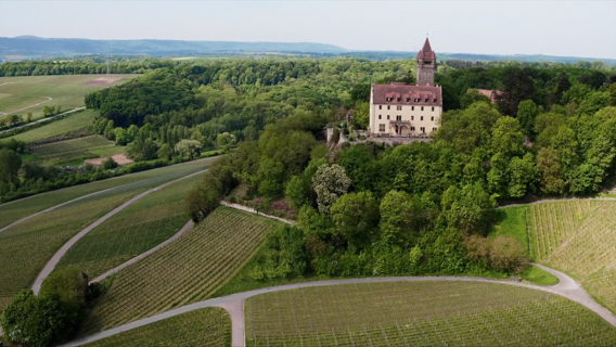 Weinberge-aus-der-Luft.jpg