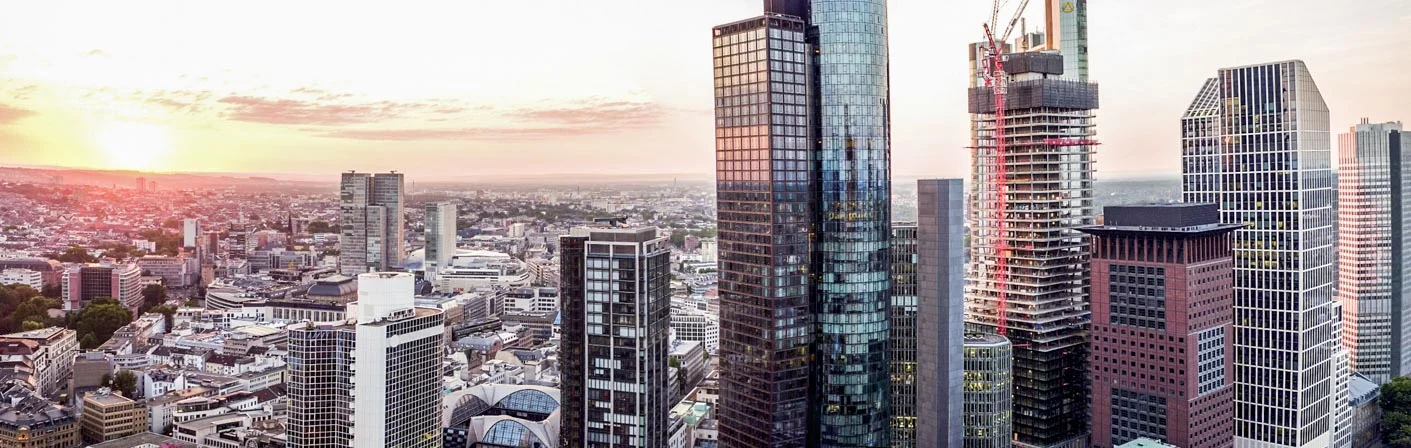 Skyline-Drone.jpg