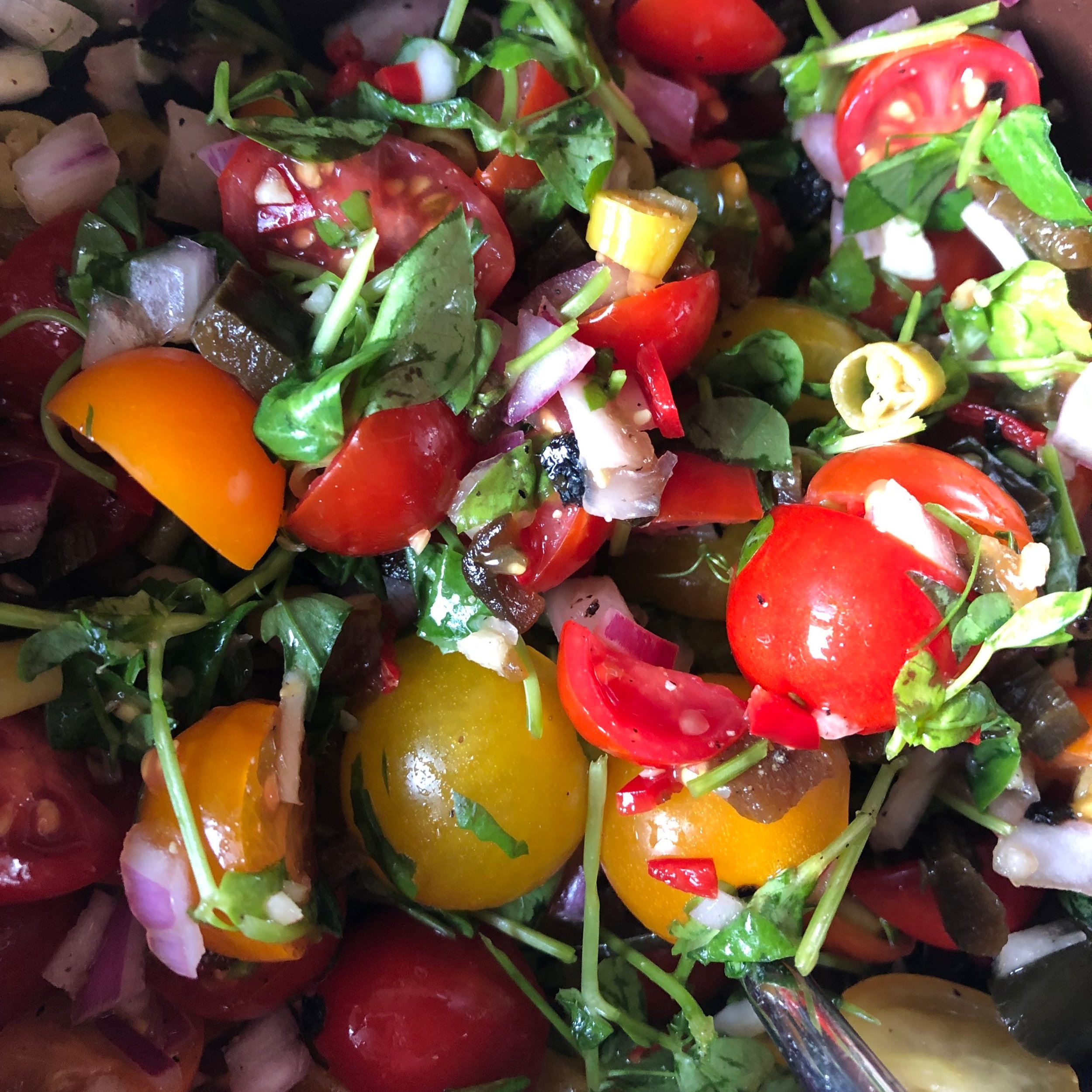Pico de Gallo Plus