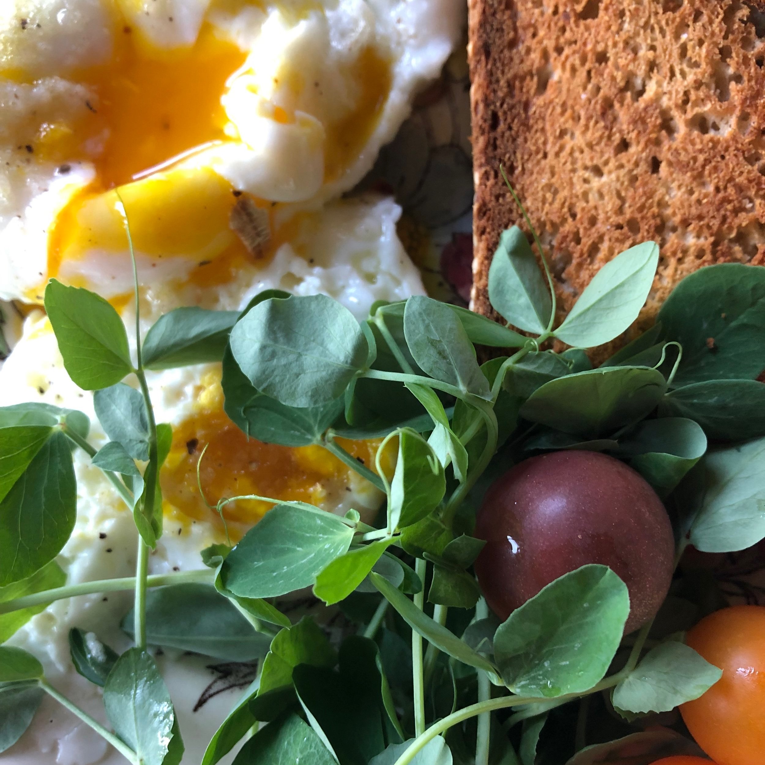 Eggs & Microgreen Salad with Toast