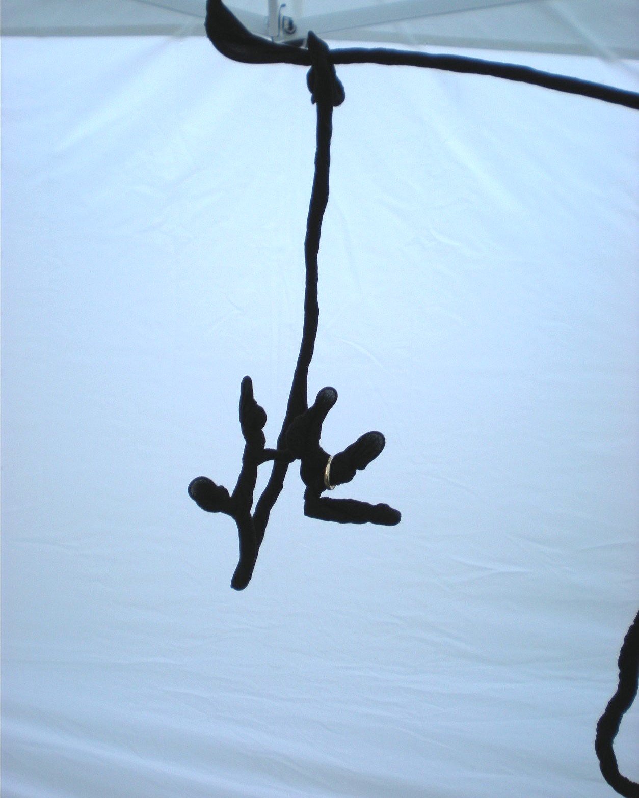 Jewelry Display Ring Suspended