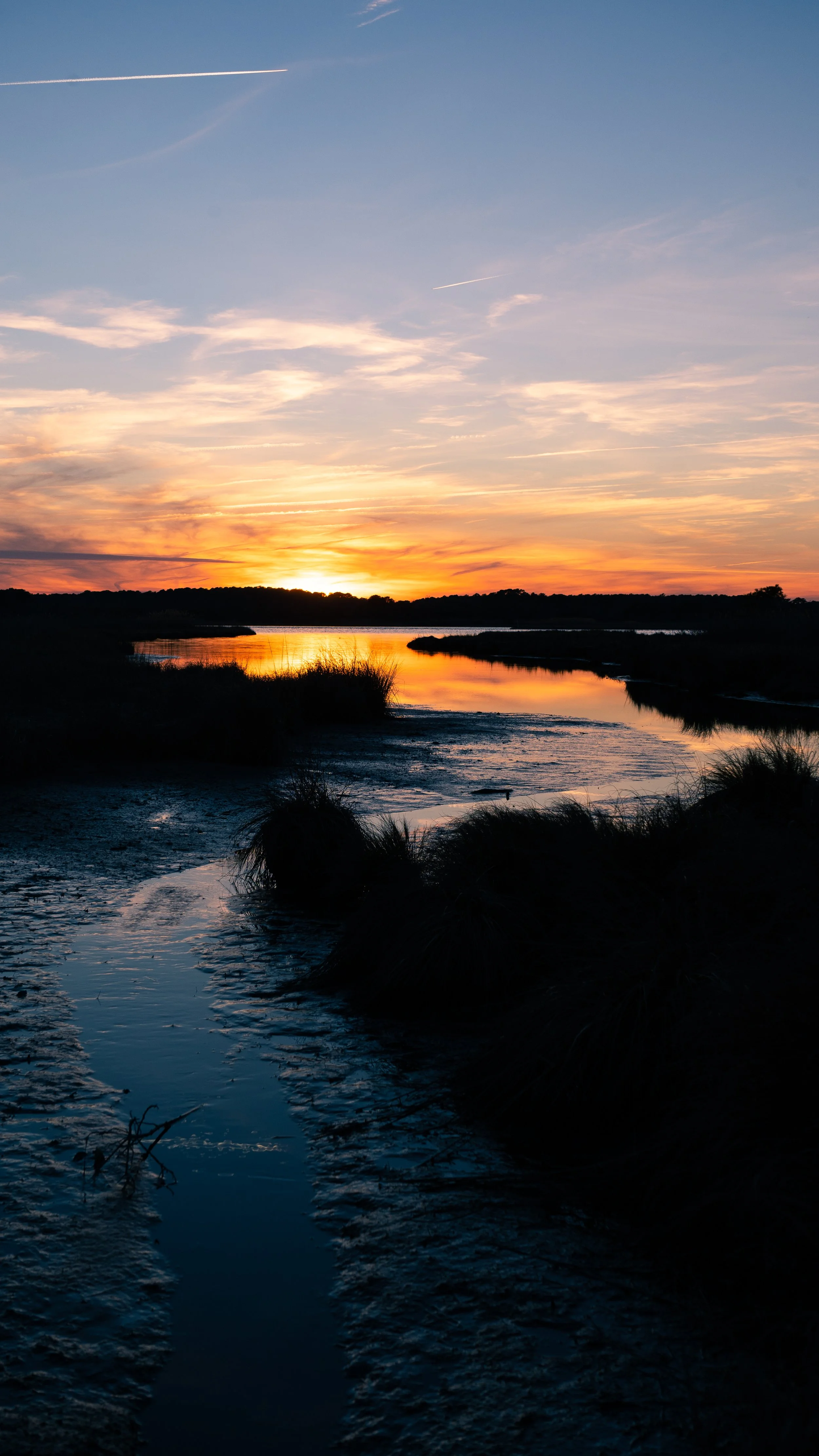 20200802-DSC03526.jpg