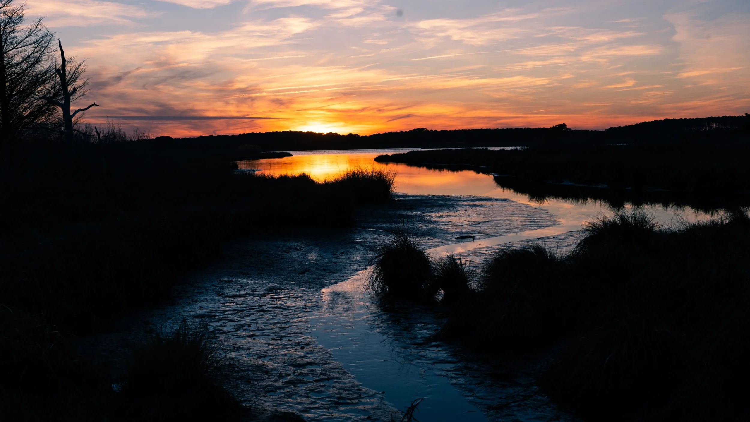 20200802-DSC03529.jpg