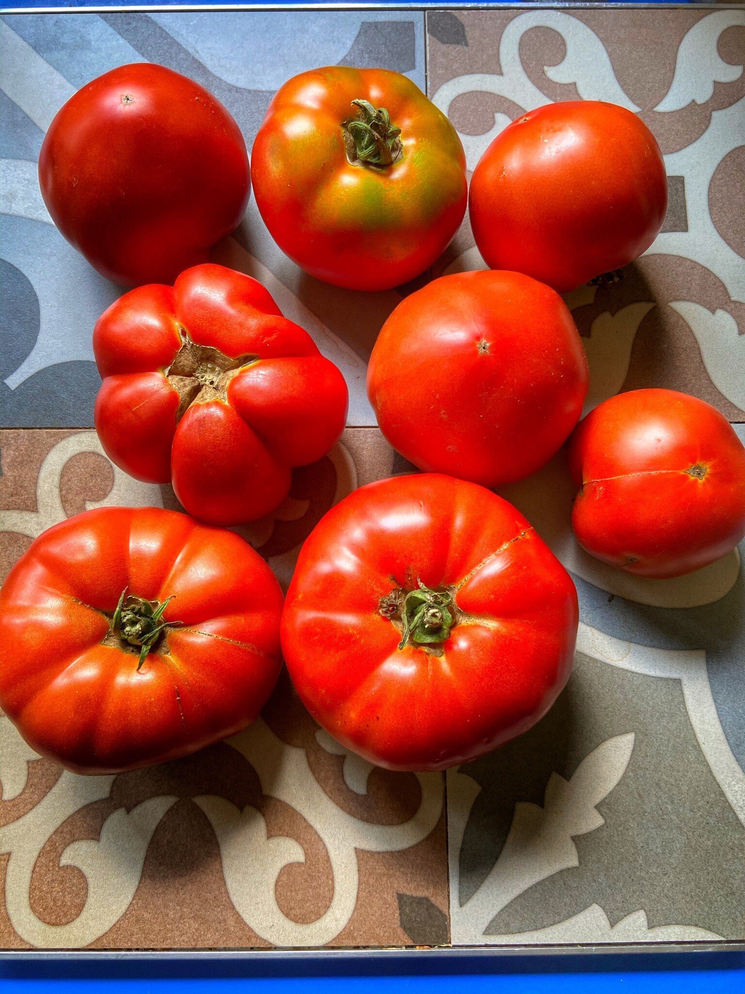 tomatos.jpg