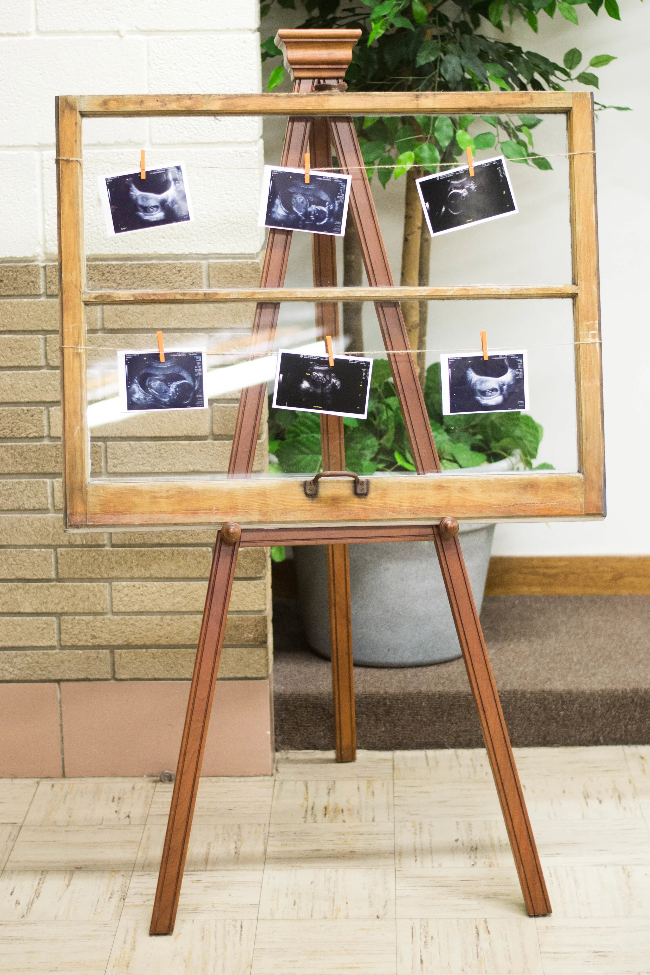 Spring Baby Shower - Adventure Themed - Hayley Fiser thehayleyfiser.com