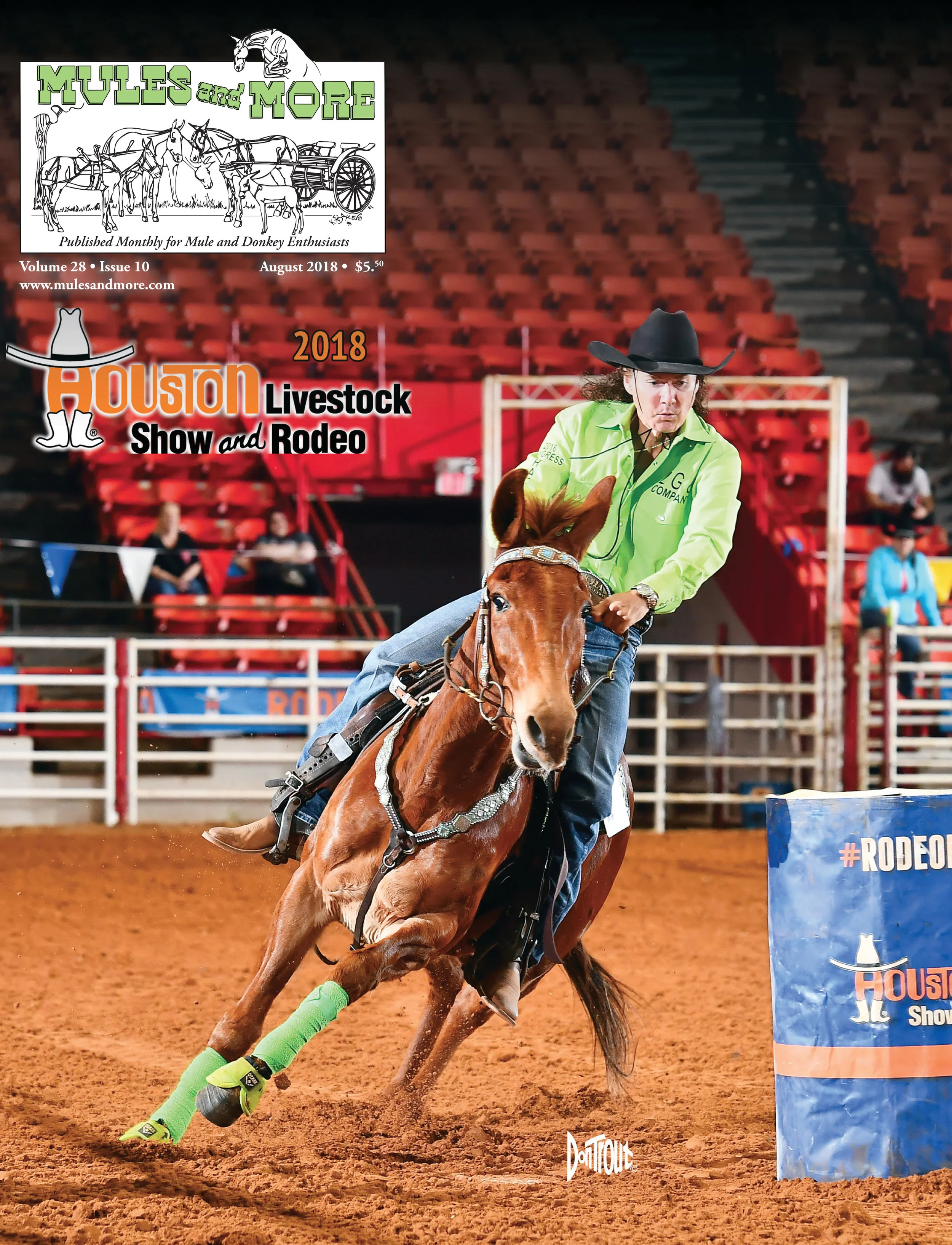 A Second Career  for Two Great Mules