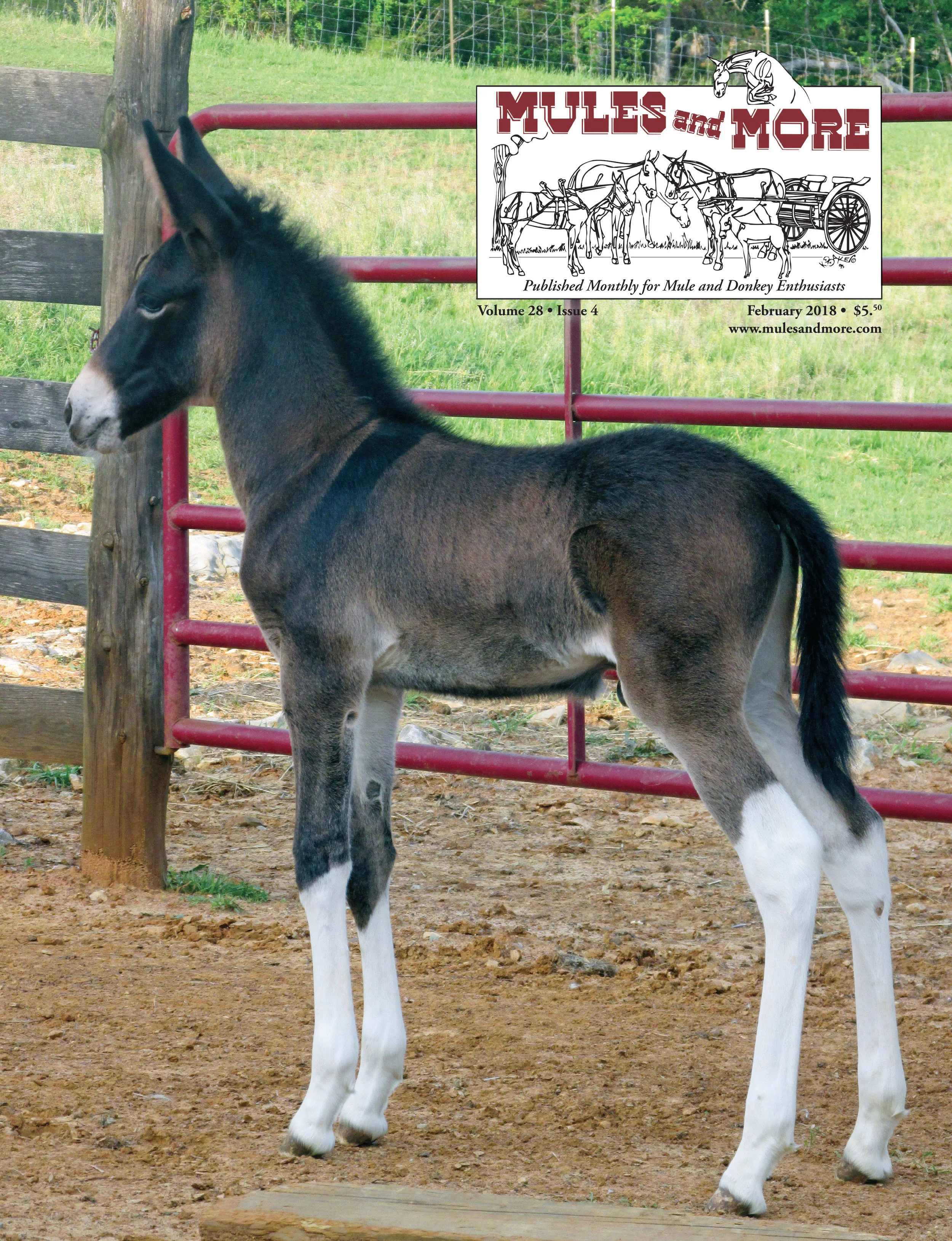 02/18 February 2018 Single Copy Of Mules And More