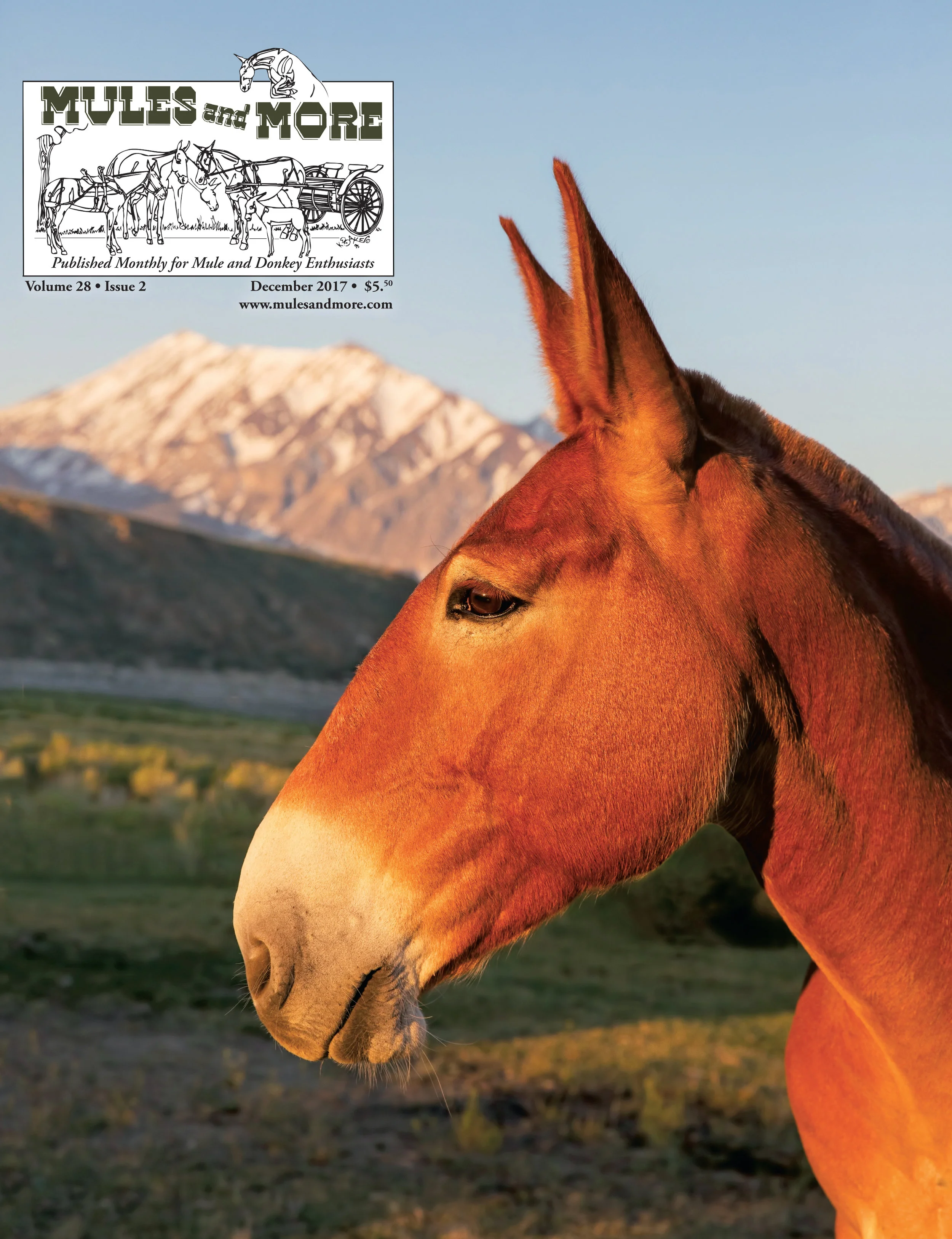 12/17 December 2017 Single Copy Of Mules And More