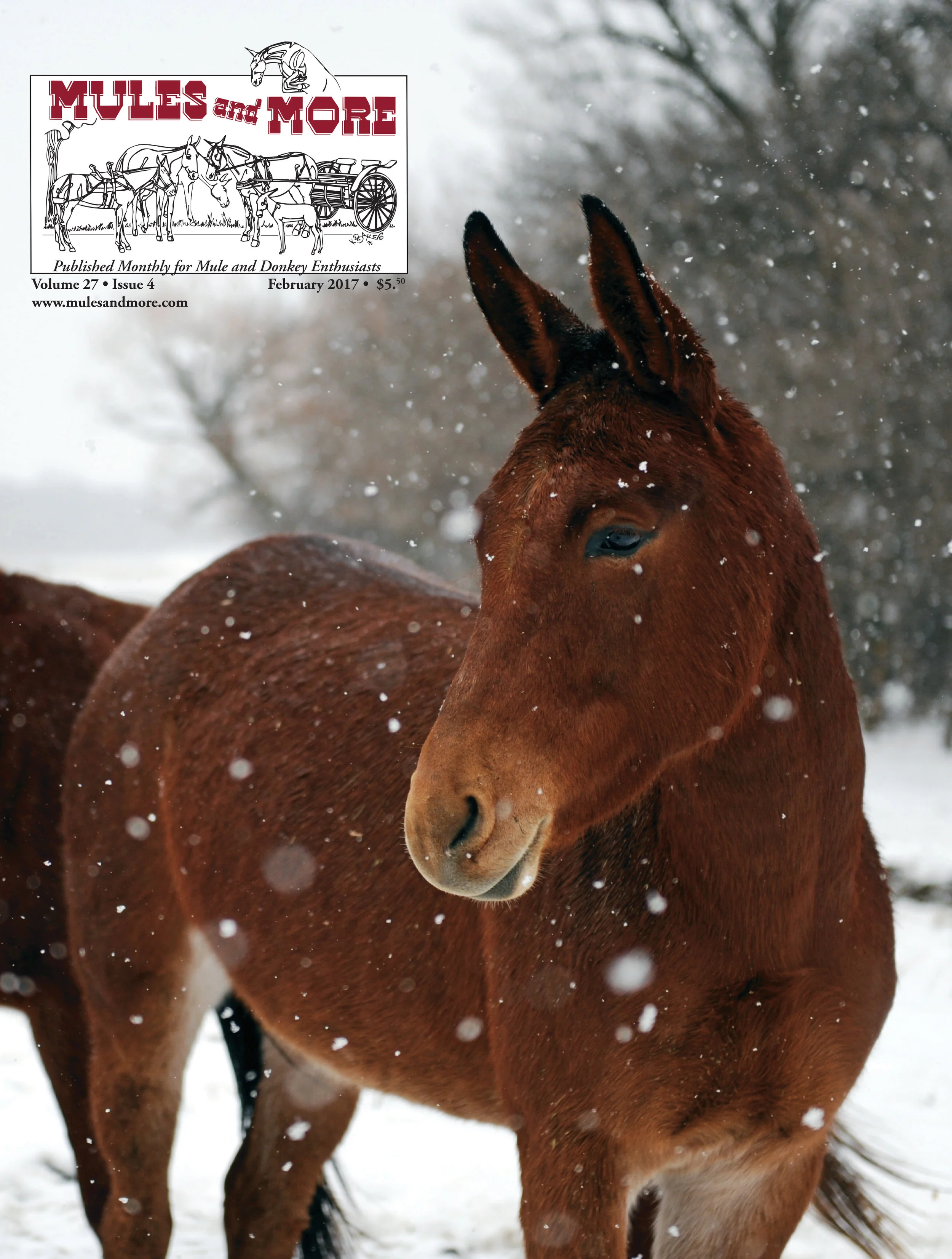 02/17 - February Single Copy Of Mules And More