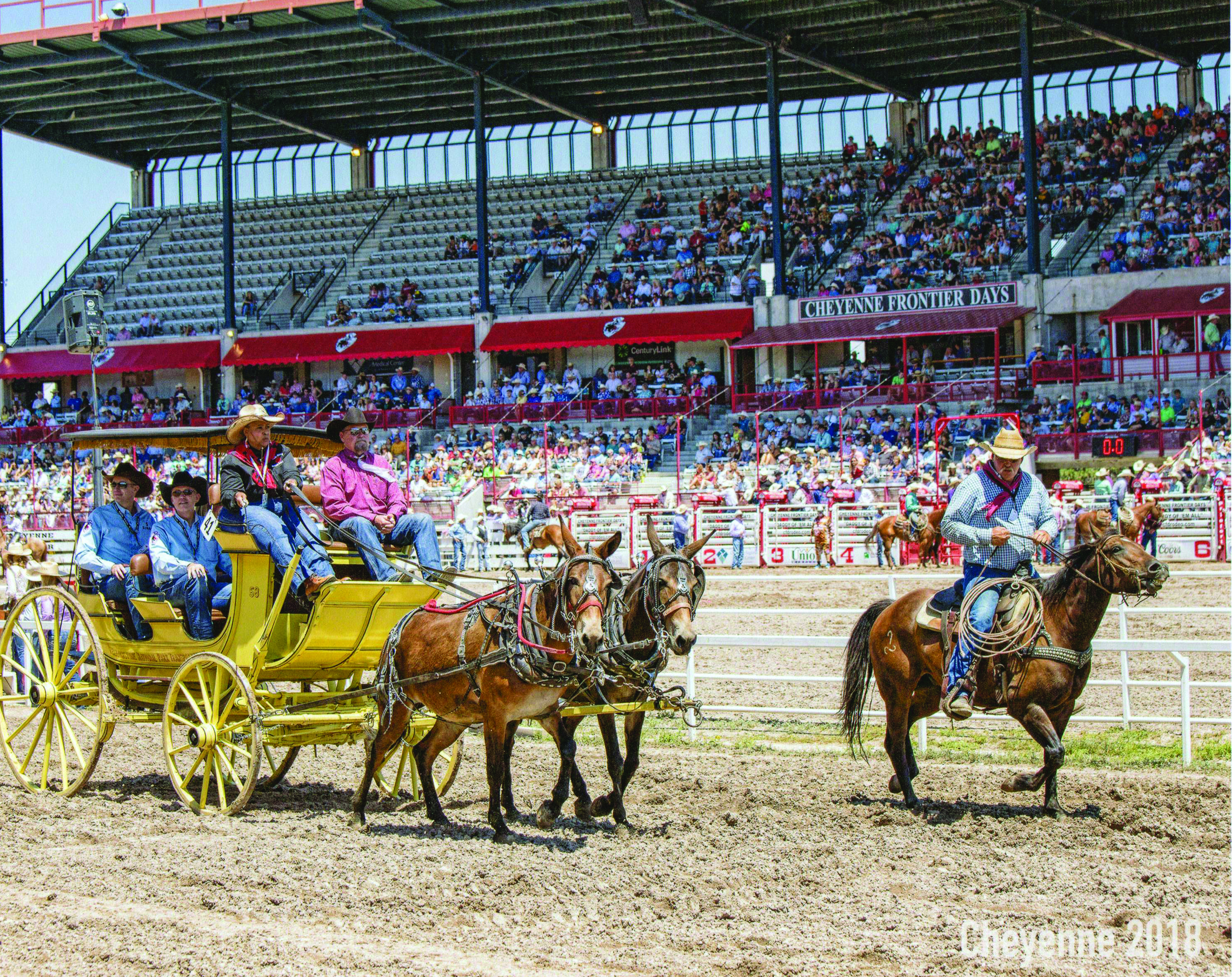 JERRY STROUP in the rodeo arena Photo by Sissy Schneiderman