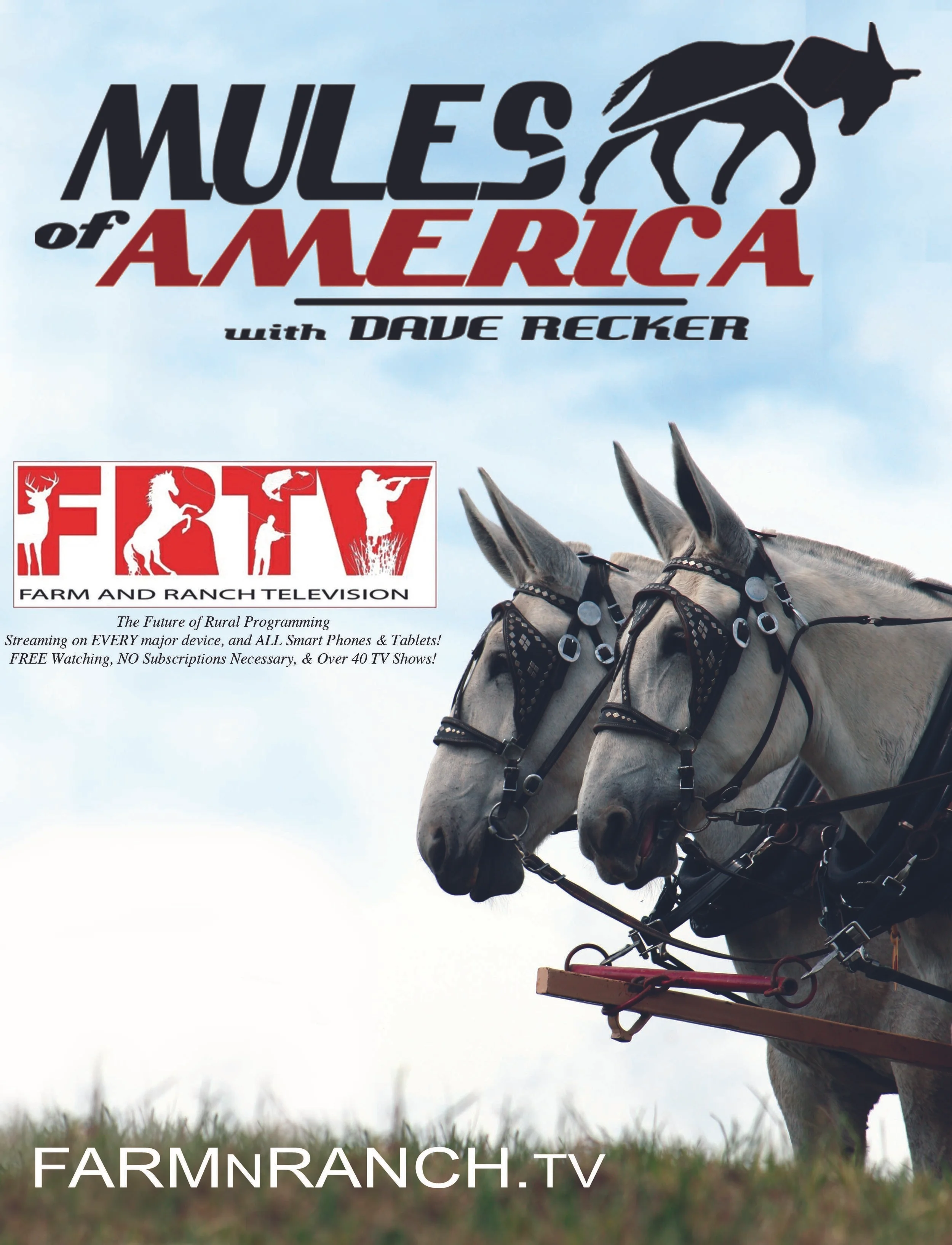 mulesofamerica.jpg