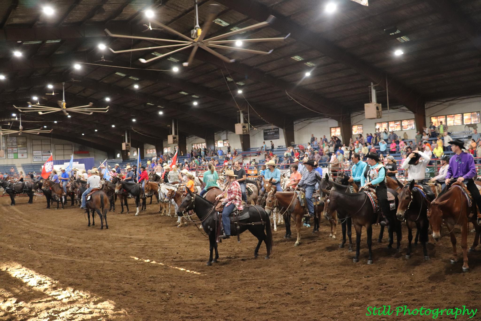 The Grand Entry at Ozark Mule Days