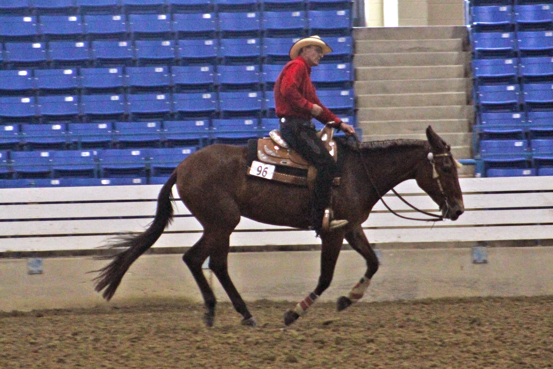 phillips reining2.jpg